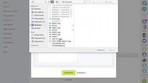Загрузка фотографии в профиль сотрудника | Битрикс24
