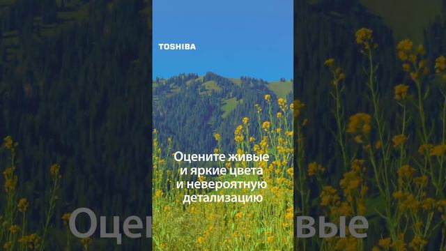 Яркие, живые цвета на телевизорах Toshiba!