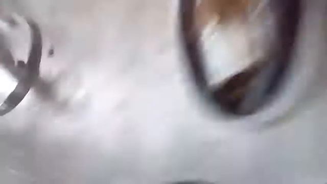 пресервы рыба специи и рассол смотреть онлайн