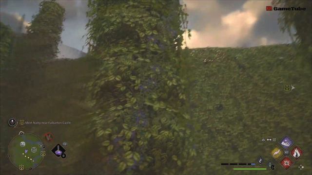 Hogwarts Legacy - Upper Hogsfield Hedge Maze Guide & Location
