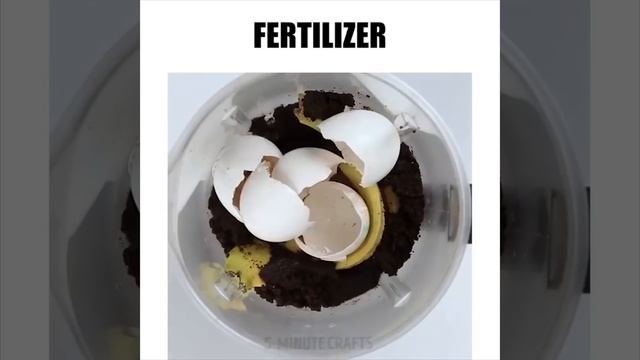 17 ВКУСНЫХ И КЛАССНЫХ ИДЕЙ С ЯЙЦОМ ДЛЯ ДЕТЕЙ смотреть онлайн