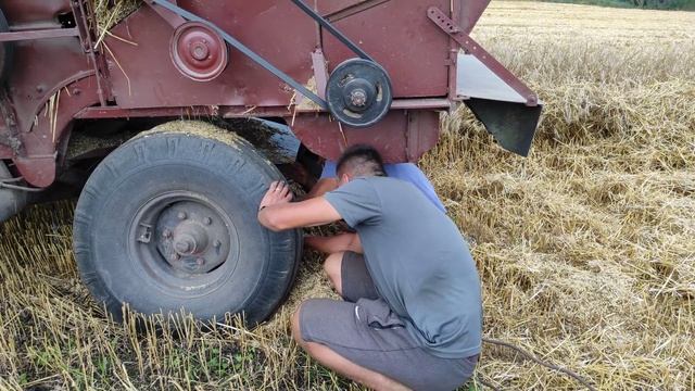 Засадили ниву ск5м-1 серед поля смотреть онлайн
