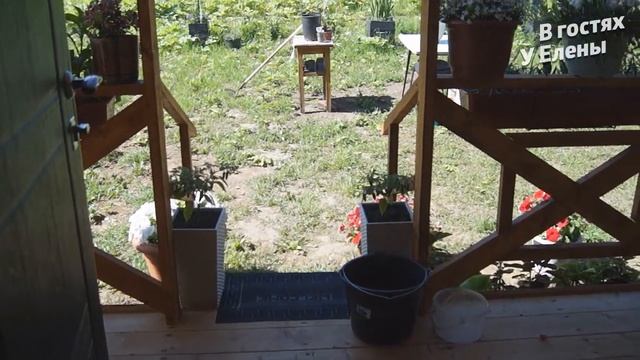 ДАЧА. КОФЕМОЛКА. МОЕ МНЕНИЕ. ЧЕСНОЧНЫЕ СТРЕЛКИ. ОГОРОД. ПЕРЦЫ.ТОМАТЫ. ЦВЕТЫ. смотреть онлайн