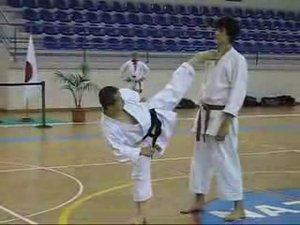 КАРАТЭ (МАЕ-ГЕРИ,ЙОКО-ГЕРИ)