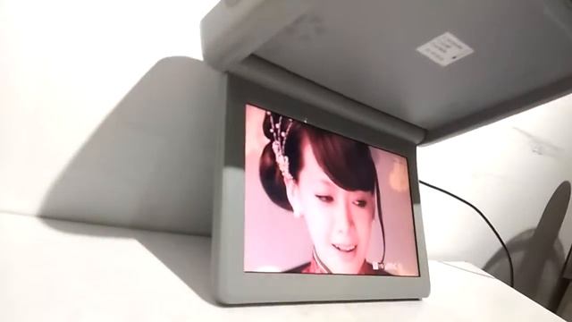 Leon 12.1" Roof TFT LCD monitor dome video смотреть онлайн