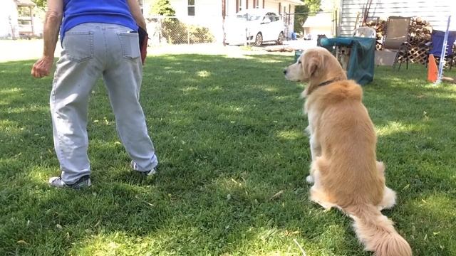 6 months old. Crate games Mac. 5-26-18 смотреть онлайн