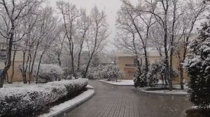 Шок! Геленджик. Отель Метрополь. январь 2022 год.