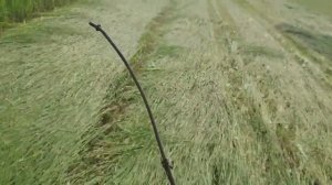 Т-40АМ.+Косилка. Сенокос продалжаэтса. Продолжаэм косить. Всем удачки??!!! 26.06.2019.