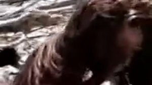 Русалка на берегу Каспийского моря