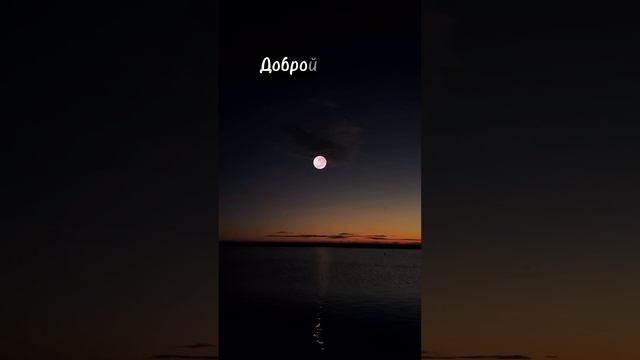 Доброй ночи!🌙 🙏