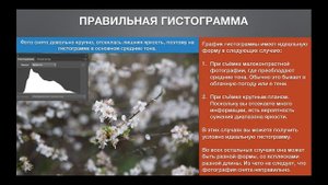 Урок 6.Гистограмма в фотографии. Как читать гистограмму фотографии?
