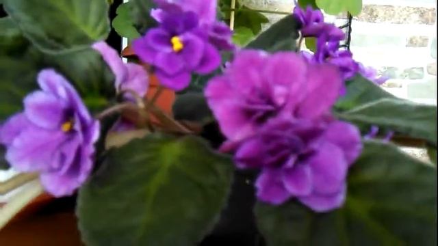 8 марта Поздравление смотреть онлайн