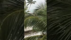 Вид с балкона отеля Blue Sky Шри Ланка