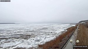 Ледоход 2021 - р. Лена - Олекминск - Юг - 2021-05-12