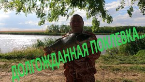 ДОЛГОЖДАННАЯ ПОКЛЕВКА…