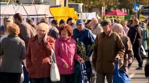 В Новгородской области стартовали традиционные осенние сельхозярмарки