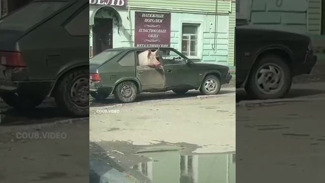 домашний питомец
