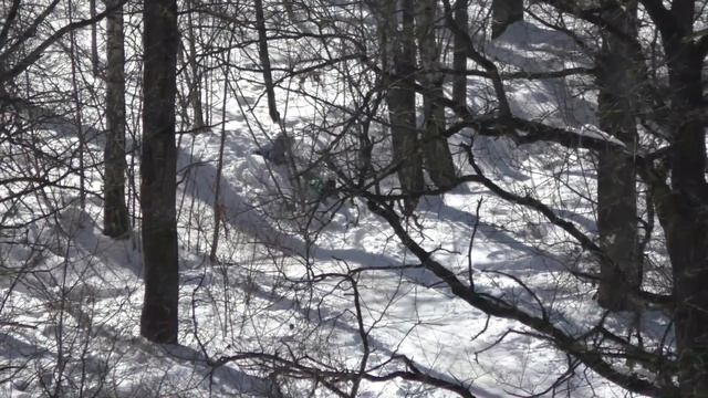 Дети в лесу смотреть онлайн