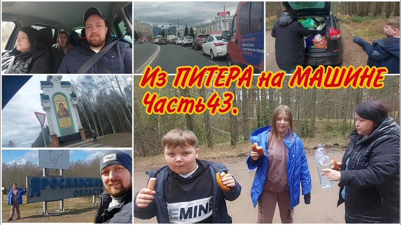 Дорога ВОЛОГДА-ЯРОСЛАВЛЬ-КОСТРОМА//Остановились на пикничок//Река ВОЛГА//Автопутешествие всей семьей