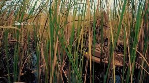 Двухместная лодка для охоты Goliath