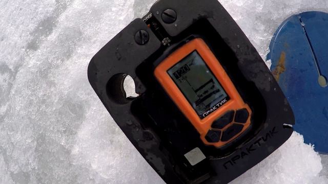 ДОЖДАЛСЯ! СУДАК начал жрать! смотреть онлайн