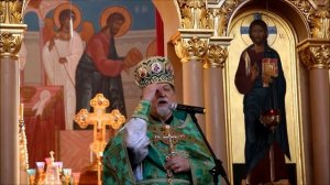 Проповедь протоиерея Богдана Сойко произнесенная им в Воскресенском Новодевичьем монастыре 6 06 201