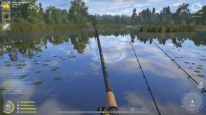 Русская рыбалка 4 .Карп и амур фарм на озере Медвежье . Почему не клюёт .