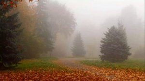 Лучшие романсы. Утро туманное. Поёт Валентина Пономарёва