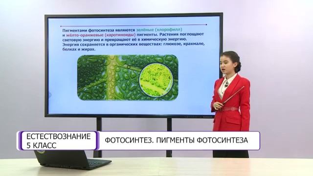 Естествознание. 5 класс. Фотосинтез. Пигменты фотосинтеза /09.02.2021/