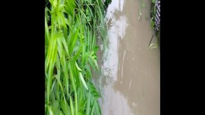 у нас потоп 12.06.2023