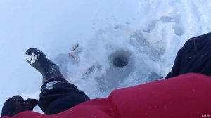 ОТКУДА ЕГО СТОЛЬКО? Окунь на блесну по первому льду! Зимняя рыбалка 2021.