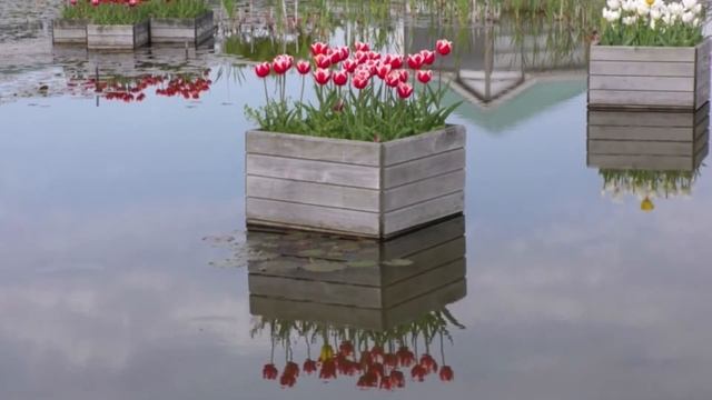 Создание вертикальных клумб и грядок на небольших участках смотреть онлайн