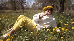 Чайный домик словно байданерка