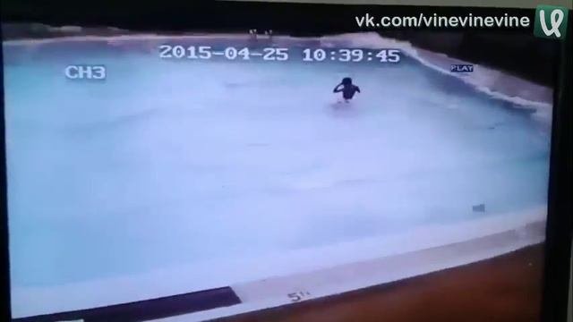 Землетрясение и бассейн