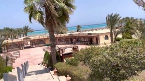 Полный обзор отеля Дрим Лагун/DREAM LAGOON MARSA ALAM 5*.Курорт Марса Алам. Туры в Египет из России