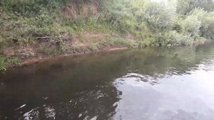 Зачем подвоху САБ доска