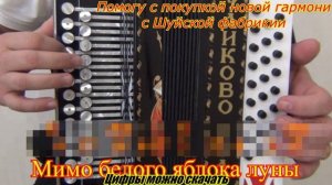 Облака, белогривые лошадки // разбор на гармони