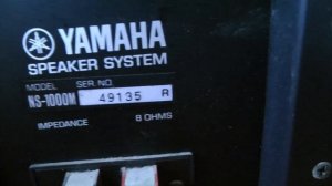 Купил колонки Yamaha NS-1000 Monitor поглядим, послушаем