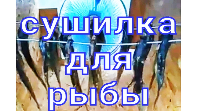 Сушилка для рыбы своими руками!