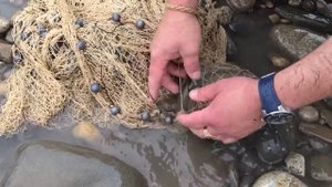 Рыбалка кастинговой сетью.Супер улов ч. 2