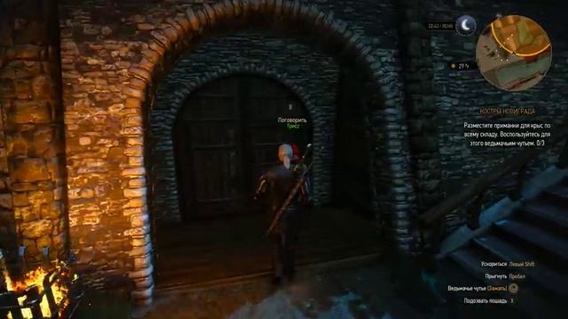 Прохождение Ведьмак 3: Дикая Охота (The Witcher 3: Wild Hunt) — Часть 12: Трисс Меригольд