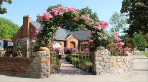 House and Flower - The Most Beautiful House in the world