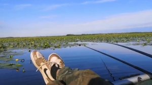 Рыбалка Беларусь. Ловля Карася. Споровское Озеро. Рыбалка в Июле.