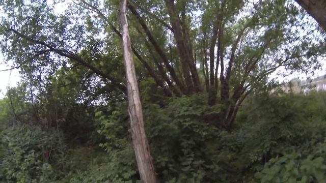 Рыбалка / Франция ч.1 смотреть онлайн