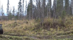 ОХОТА В ТАЙГЕ / СТРЕЛЯЛ ГЛУХАРЯ, А ВЗЯЛ ЗАЙЦА! ПОЕЗДКА НА КАРАКАТЕ.