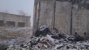 Щенки погибали от холода и голода в заброшке