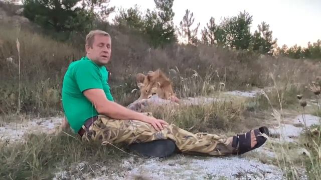 Мы кормим льва Руслана ! смотреть онлайн