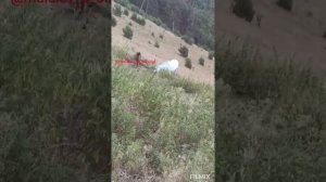 Друзья, Дети гор, Тляратинский район, р. Дагестан, Красоты Тляраты,