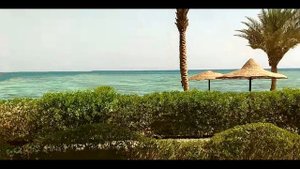 Sunny Days Resort Spa & Aqua Park (ex. Sunny Days El Palacio Resort & Spa) 4*. Hurghada! Египет!