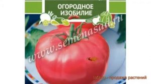 Томат обыкновенный Роузи (rouzi) ? обыкновенный томат Роузи обзор: как сажать, семена томата Роузи